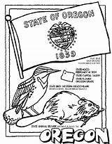Oregon Coloring State Pages Crayola Flag States Color Beaver sketch template