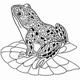 Frog Jumping Coloring Getdrawings Drawing sketch template