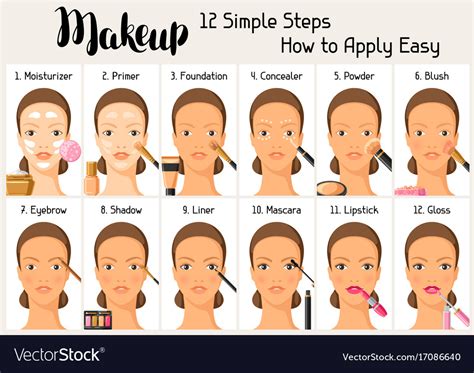 makeup  simple steps   apply easy vector image