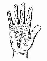 Palm Reading Read Occult Palms Fortune Teller Diagram Palmistry Hand Drawing Symbols Gypsy Witch Style Guide Na Witchcraft Death Carnivale sketch template