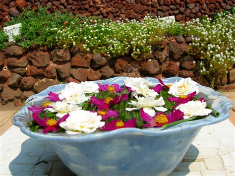 detalle decorativo en spa termal tlalocan frijoles acai bowl serving
