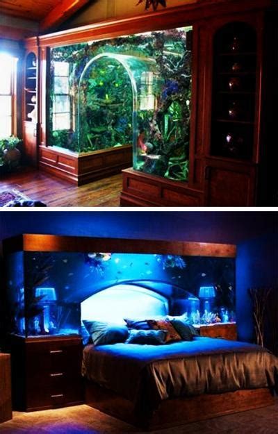 unusual aquariums  custom tropical fish tanks  unique interior design