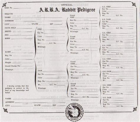 arba rabbit pedigree template