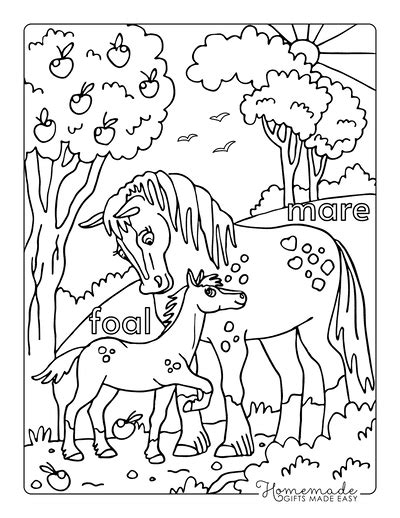 horse pictures coloring pages
