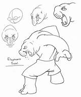 Elephant Seal Getdrawings Drawing sketch template