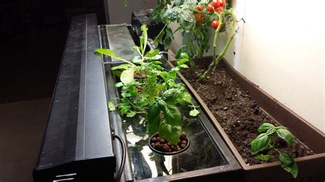 build  easy small scale aquaponics system