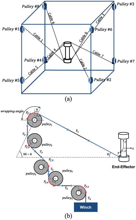 body diagram   pulley    vector configuration  scientific