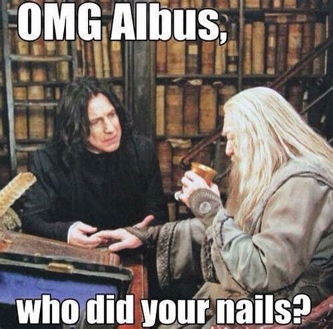 Funny Harry Potter Meme Snape Harry Potter Harry Potter