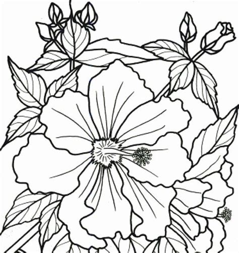 printable coloring pages  adults  dementia coloring page blog