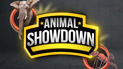 animal showdown