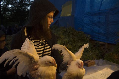 chickens and prayer how some observant jews prepare for the day of