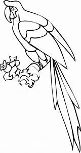 Parrot Coloring Pages Clipart Printable Nuri Realistic Clip Monkey Kids Colouring Color Panda Pinclipart Print Getdrawings Webstockreview Bestcoloringpagesforkids Getcolorings Popular sketch template
