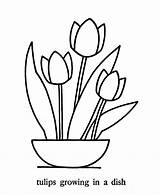 Coloring Tulip Flowers Pages Flower Simple Tulips Pointillism Printable Basic Easy Colouring Print Traceable Patterns Kids Color Clip Clipart Spring sketch template