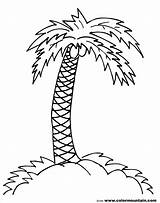 Palm Tree Coloring Pages Trees Coconut Drawing Branch Line Printable Print Clipart Simple Branches Leaves Jungle Draw Color Getdrawings Sheet sketch template