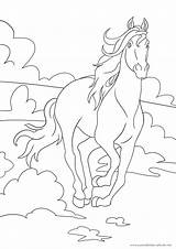 Pferde Ausmalbild Pferd Ausdrucken Ostwind Pferden Vorschule sketch template