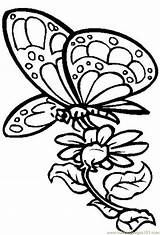 Butterfly Coloring Flower Pages Flowers Color Butterflies Drawings Drawing Nectar Printable Cardboard Clipart Insects Designs Kids Cutout Coolage Hard Draw sketch template