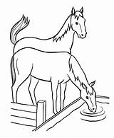Coloring Pages Horse Water Horses Trough Drinking Color Kids Clipart Baby Sheets Print Animal Honkingdonkey Farm Clipground Preschool Books Colouring sketch template