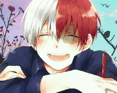 Todoroki Shoto Ohayo Anime Love Anime My Hero Academia