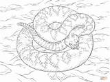 Rattlesnake Diamondback Serpente Anaconda Klapperschlange Serpent Coloriage Mamba Sonagli Diamant Snakes Imprimer Supercoloring sketch template