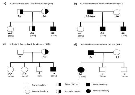 Can A Recessive Trait Be On The Y Chromosome Linkage For All Families