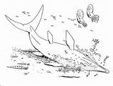 Shonisaurus Ichthyosaur sketch template