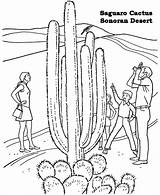 Coloring Desert Pages National Monuments Barrel Racing Cactus Sonoran Gobi Print Parks Printables Saguaro Arizona Kids Color Printable Monument Usa sketch template