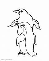 Coloring Pages Penguin Penguins Kids Cartoon Animals Cliparts Sea Printable Clipart Fun Creatures Popular sketch template