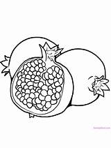 Coloring Pomegranate Identical Pomegranates sketch template
