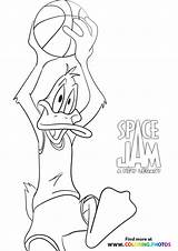 Jam Daffy Duck Looney Tunes Squad Tune Taz Goon Brow sketch template