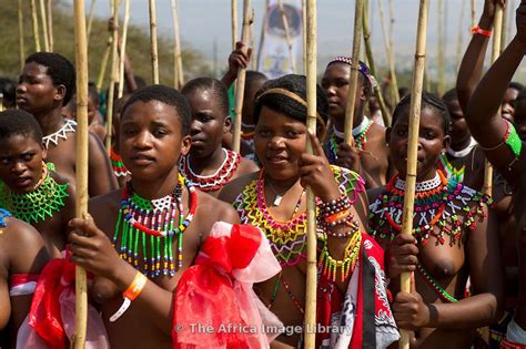 zulu maidens deliver reed sticks to the king zulu reed dance at enyokeni palace nongoma south