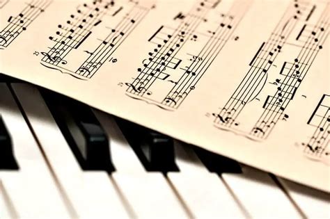 sheet   piano  printable piano sheet  beginners denn muss easy wooden heart