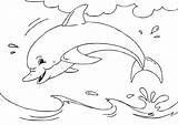 Dolfijn Kleurplaat Delfino Delfin Malvorlage Dauphin Golfinhos Delfines Dolfijnen Golfinho Kleurplaten Stampare Tonina sketch template