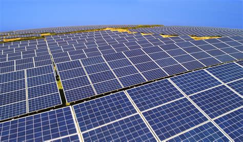 solar industry posted record growth    covid report finds market