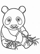 Panda Kolorowanka Kleurplaat Bamboe Eet Bambus Eats Coloringpage Zjada Coloring Leukekleurplaten Kolorowanki Ladnekolorowanki Wszystkie Pokaż Panada sketch template