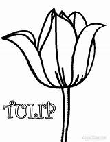 Coloring Tulip Tulips Pages Printable Flower Drawing Simple Outline Flowers Kids Large Cool2bkids Template Clipart Getdrawings Gaddynippercrayons sketch template