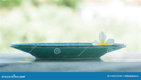spa flower  plate outdoors  sunlight stock photo image