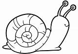 Caracol Snail Snails Animal Desenhos Vectores sketch template