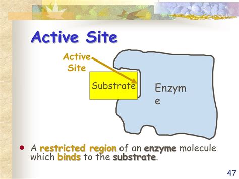 bioenergetics powerpoint    id