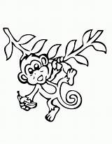 Monkey Banana Coloring Drawing sketch template
