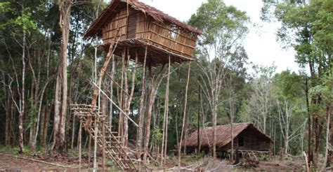 Rumah adat Suku Korowai, Papua, destinasi impian   papua rizky almira