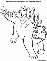 Dinosaure Stegosaurus Coloring Dinosaur Pat Patrouille Gratuit sketch template