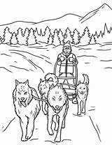 Coloring Dog Sled Pages Dogs Choose Board sketch template