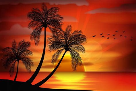 sunset sea paradise tropical island palms island living room home art