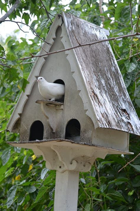 christmas dovesa sign  peace bird house plans bird house bird houses diy