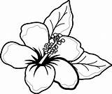Hibiscus Coloriage Hawaianos Blanc Hawaiische Schwarzweiss Tatuaje Dhibiscus Livre Hawaianas Ohana Hibisco Hawaïen Unas Hawaien Escritorio Seleccionar sketch template
