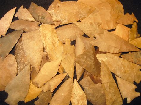 arrowheads natural selections