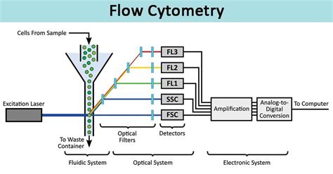 flow cytometry definition principle parts steps types