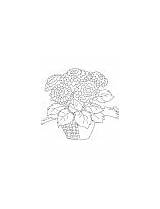 Chrysanthemum Coloring Basket Bunch sketch template