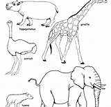 Coloring Animals Savanna Pages African Color Grassland Printable Getcolorings Getdrawings Found Colorings sketch template