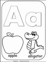 Letter Coloring Alphabet Cards Preschool Pages Worksheets Sheets Colouring Letters Kindergarten Kids Pdf Display Activities Choose Board Apple Madebyteachers Teachers sketch template